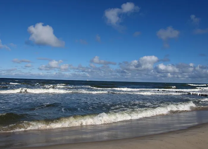 Lägenhet W Zielonym Domu *